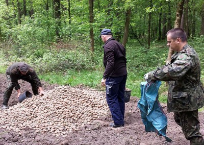 Dokarmianie zwierząt 2015