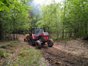 pasy-zaporowe-2017-08